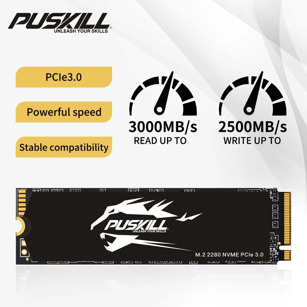 PUSKILL SSD M.2 NVMe 1TB 512GB 256GB 128GB PCIe